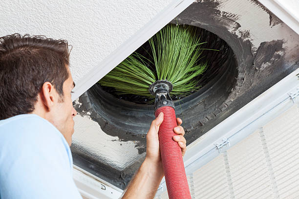 Best Home Air Vent Cleaning  in Royal Palm Beach, FL